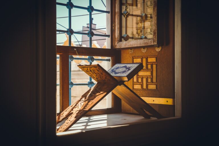Foto: Anis Coquelet / unsplash.com