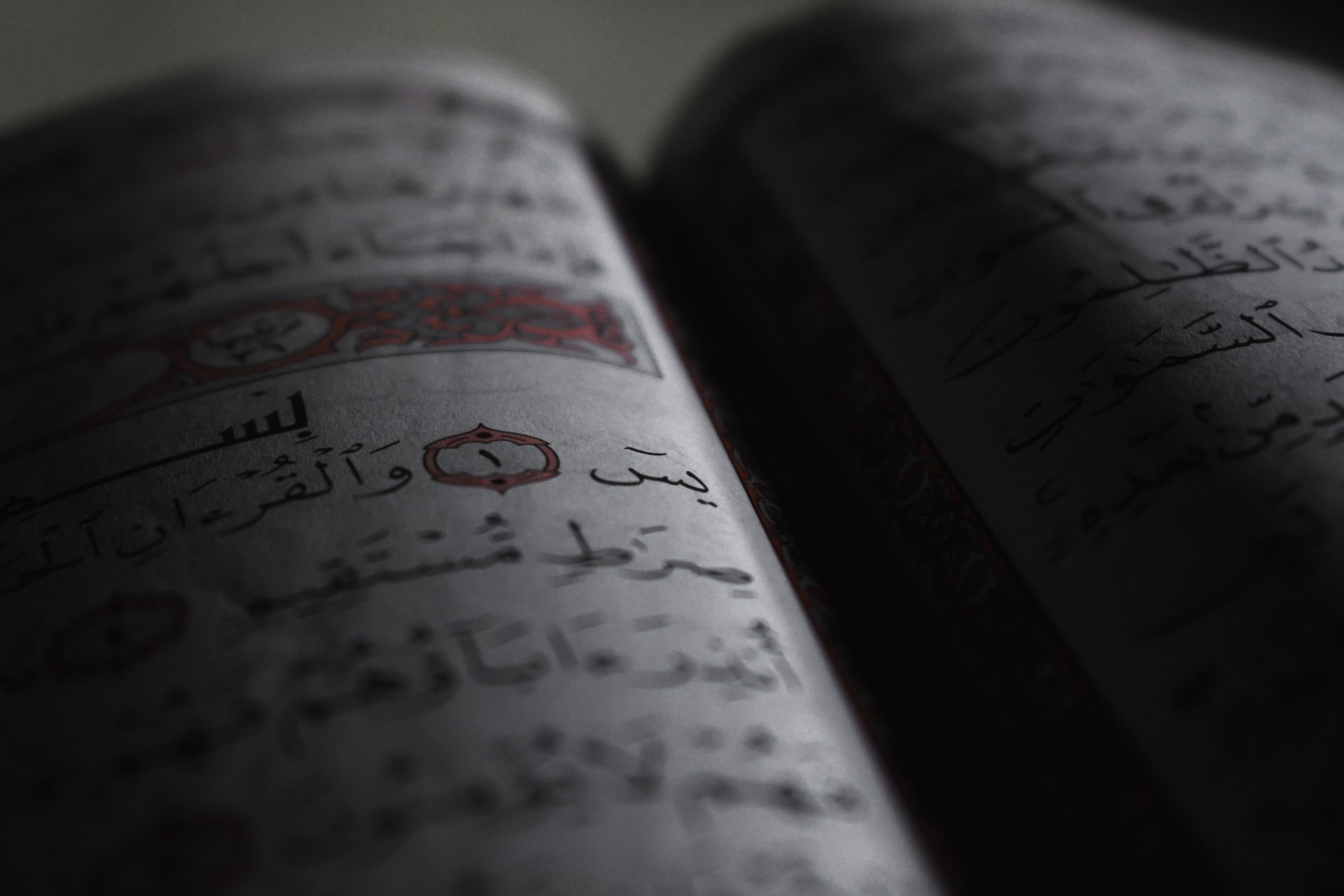 Foto: hilal kh / unsplash.com