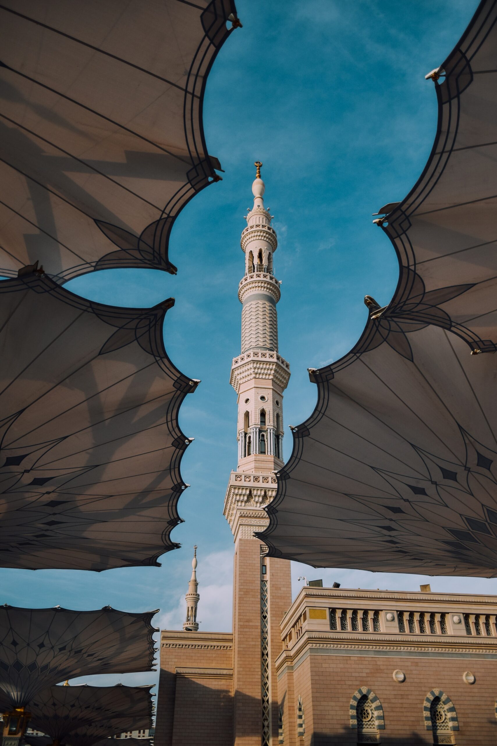 Foto: Yasmine Arfaoui / unsplash.com