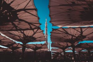 Foto: Said Alamri / unsplash.com