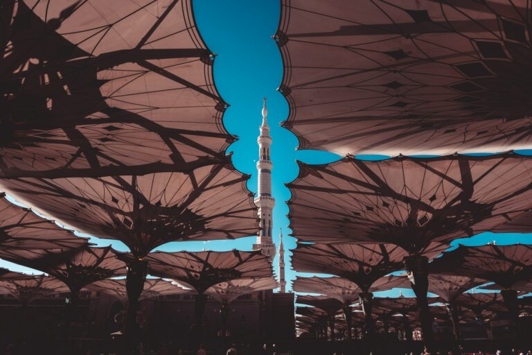 Foto: Said Alamri / unsplash.com